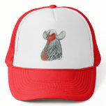 Araucana Hen