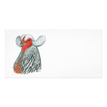 Araucana Hen photo cards