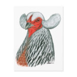Araucana Hen