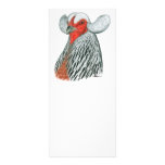 Araucana Hen rack cards