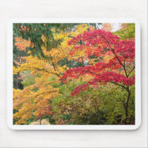 Arboretum - Fall Mousepads