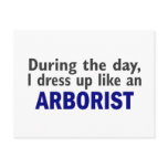 ARBORIST During The Day