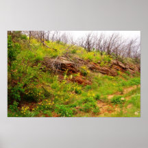 Arbuckles after Fire Print