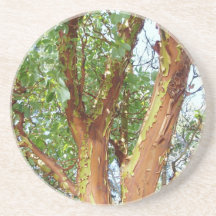 Arbutus Madrona Coaster