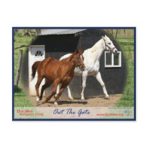Arc Bars Miss and Bel's Starlet Postcard