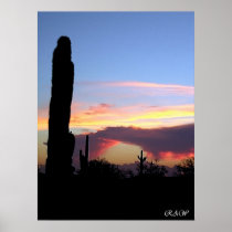 Arched Clouds Over Saguaro Cactus poster