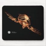 Archelon Mousepad