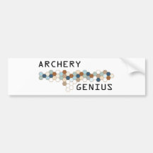 Archery Genius Bumper Sticker