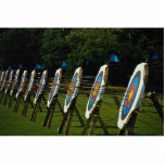 Archery targets near Brentwood, Essex, U.K. photo sculptures