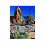 Arches Arches National Park Acrylic Cut Out