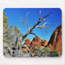 Arches National Park Old Tree Mousepad