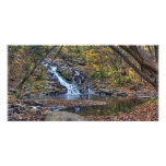 Arches Over Chester Creek Photo Card