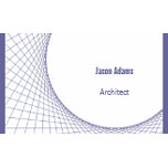 Professional Business Cards