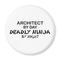 Architect Deadly Ninja by Night