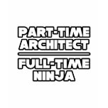 Architect...Ninja t-shirts