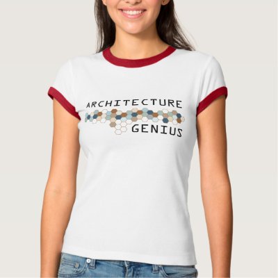 Architecture Genius T-shirt by itsallhot