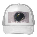 Arctic Baby Harp Seal Eye Wildlife Supporter Hat