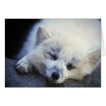Arctic Card