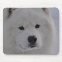 Arctic Dog Mousepads