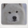 Arctic Dog Mousepads