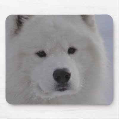 Arctic Dog Mousepads by WhiteMagic