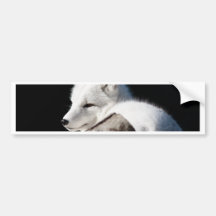 Arctic Fox Bumper Stickers