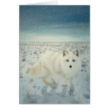 Arctic Fox Card