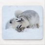 Arctic Fox Fight Mousepad