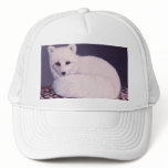 Arctic Fox Mesh Hat
