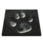 Arctic Fox in Paw Print