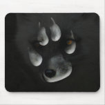 Arctic Fox in Paw Print Mousepads