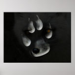 Arctic Fox in Paw Print