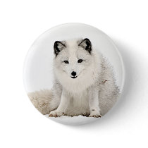 Arctic Fox in the Snow Pins