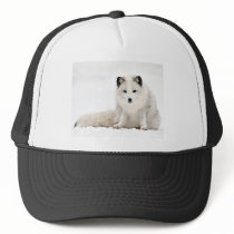 Arctic Fox in the Snow Mesh Hat