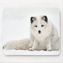 Arctic Fox in the Snow Mouse Pad