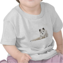 Arctic Fox in the Snow Tees