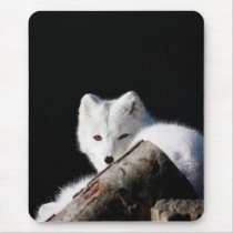 Arctic Fox Mousepads