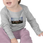 Arctic Fox on summer tundra T Shirt