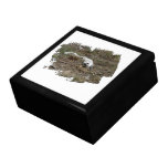 Arctic Fox on the Ground; No Text Trinket Box