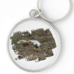 Arctic Fox on the Ground; No Text Key Chains