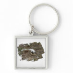 Arctic Fox on the Ground; No Text Keychains