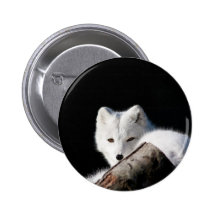 Arctic Fox Pinback Buttons