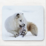 Arctic Fox - Snacking Mousepad