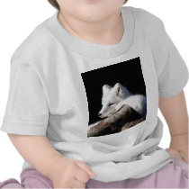 Arctic Fox Tee Shirts