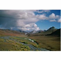 Arctic National Wildlife Refuge Acrylic Cut Out