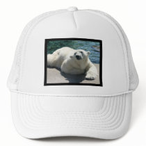 Arctic Polar Bear Baseball Hat
