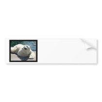Arctic Polar Bear Bumper Sticker