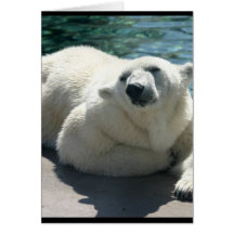 Arctic Polar Bear Greeting Card