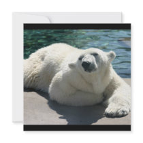 Arctic Polar Bear Invitation