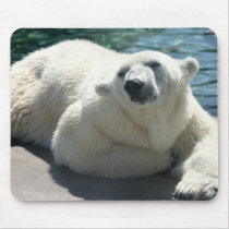 Arctic Polar Bear Mouse Pad